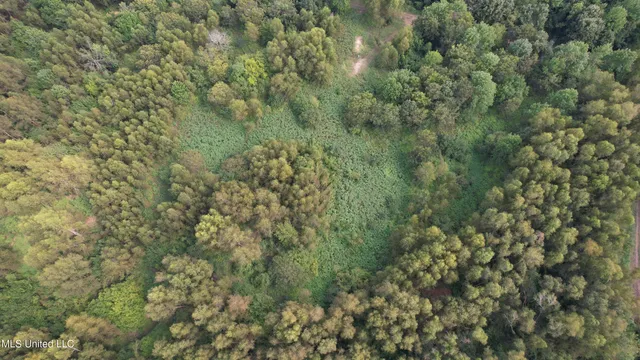 $400,000 | Bourke Road, Natchez, MS 39120