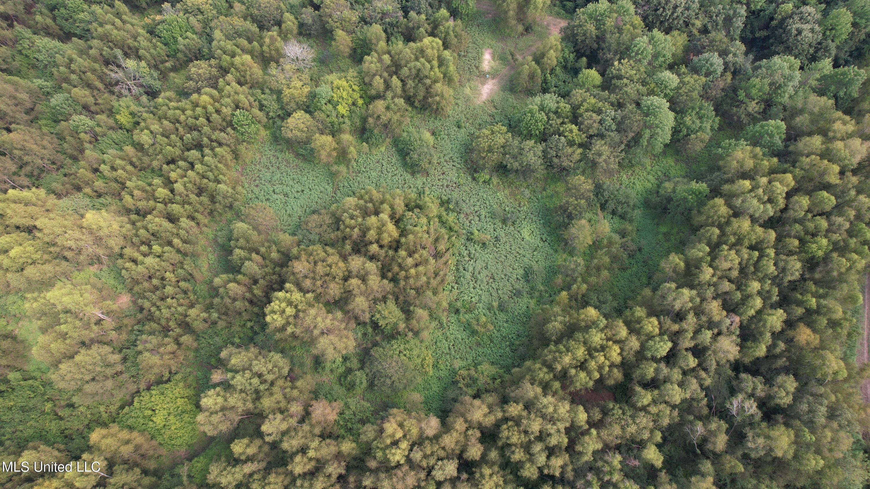 Bourke Road Natchez, MS 39120 - Photo 19 of 23 19.
