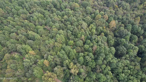 $400,000 | Bourke Road, Natchez, MS 39120