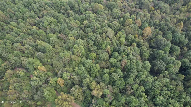 $400,000 | Bourke Road, Natchez, MS 39120