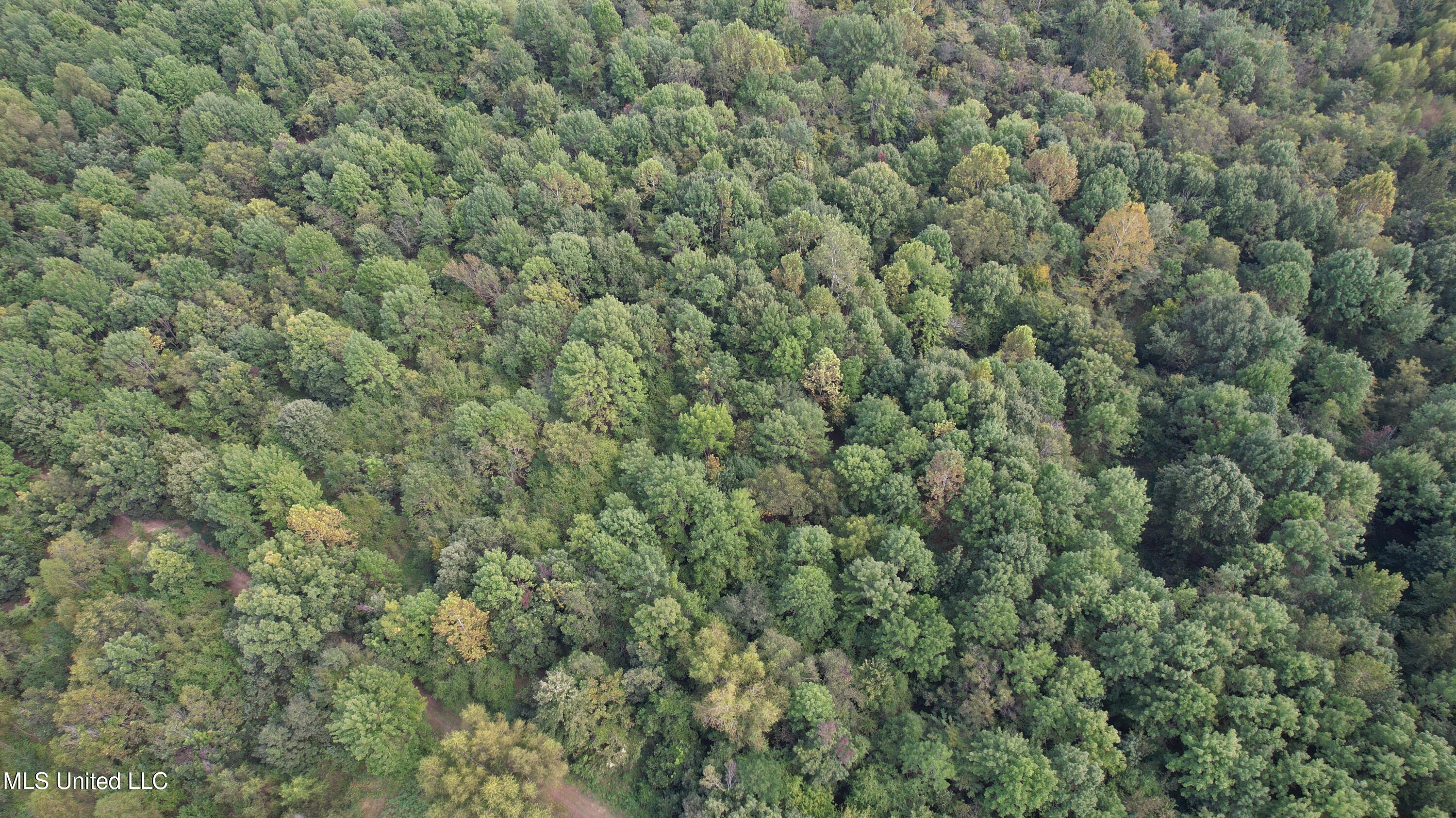 Bourke Road Natchez, MS 39120 - Photo 20 of 23 20.