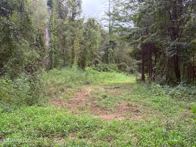 $400,000 | Bourke Road, Natchez, MS 39120