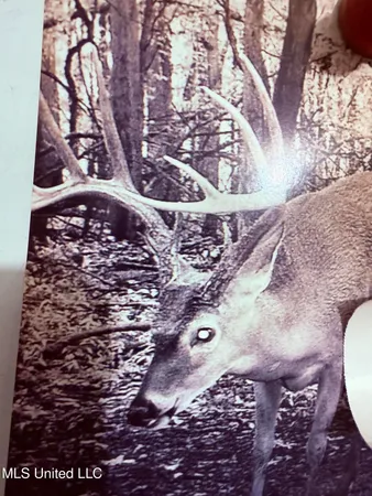 $400,000 | Bourke Road, Natchez, MS 39120