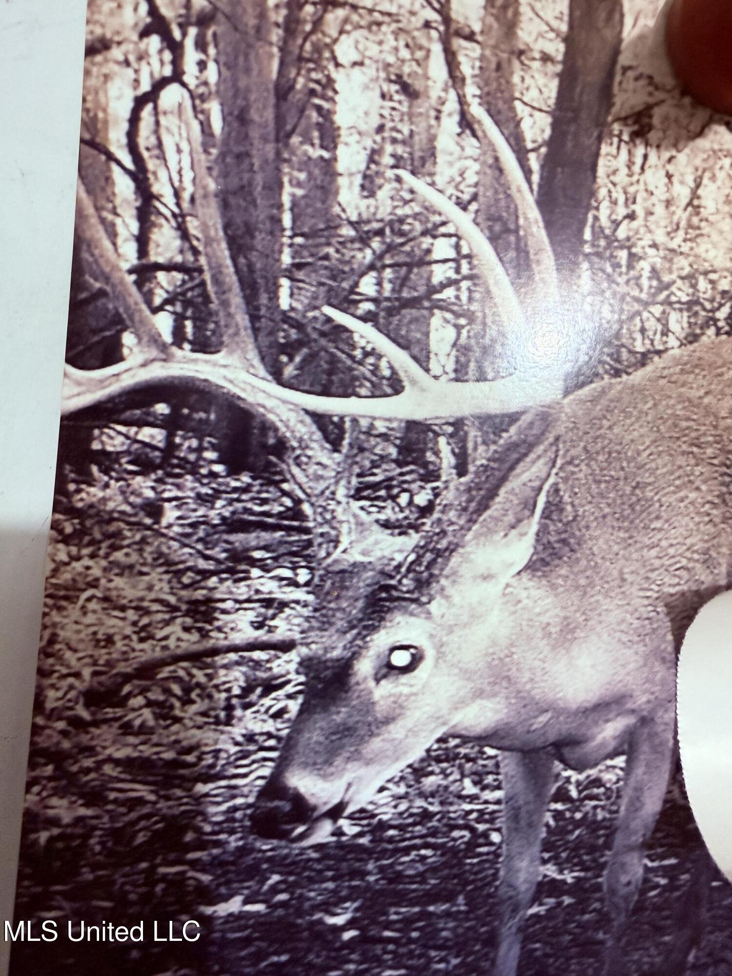 Bourke Road Natchez, MS 39120 - Photo 21 of 23 20a.