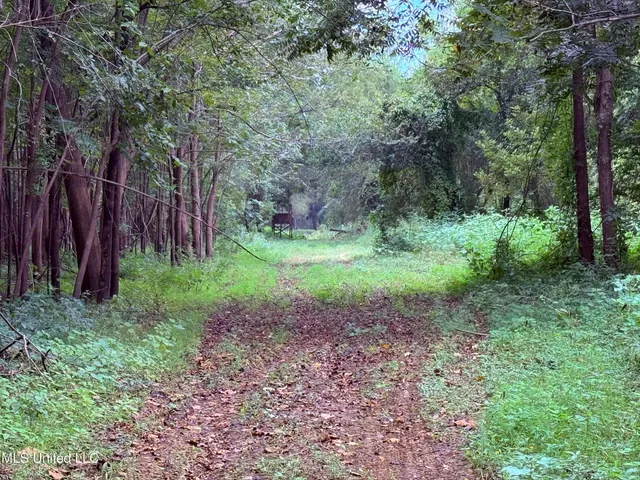 $400,000 | Bourke Road, Natchez, MS 39120