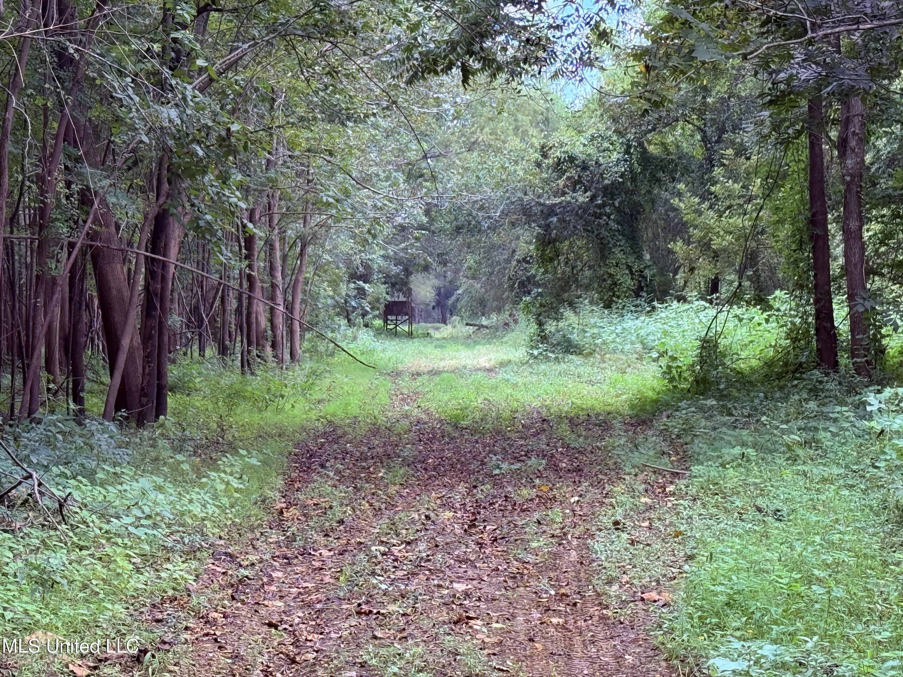 Bourke Road Natchez, MS 39120 - Photo 3 of 23 3.