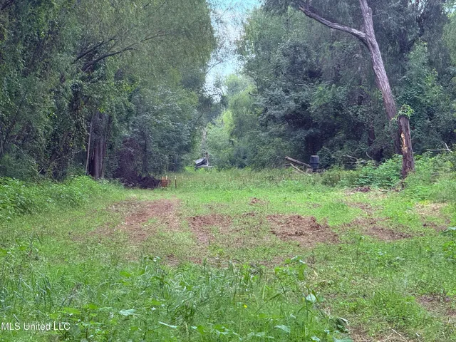 $400,000 | Bourke Road, Natchez, MS 39120