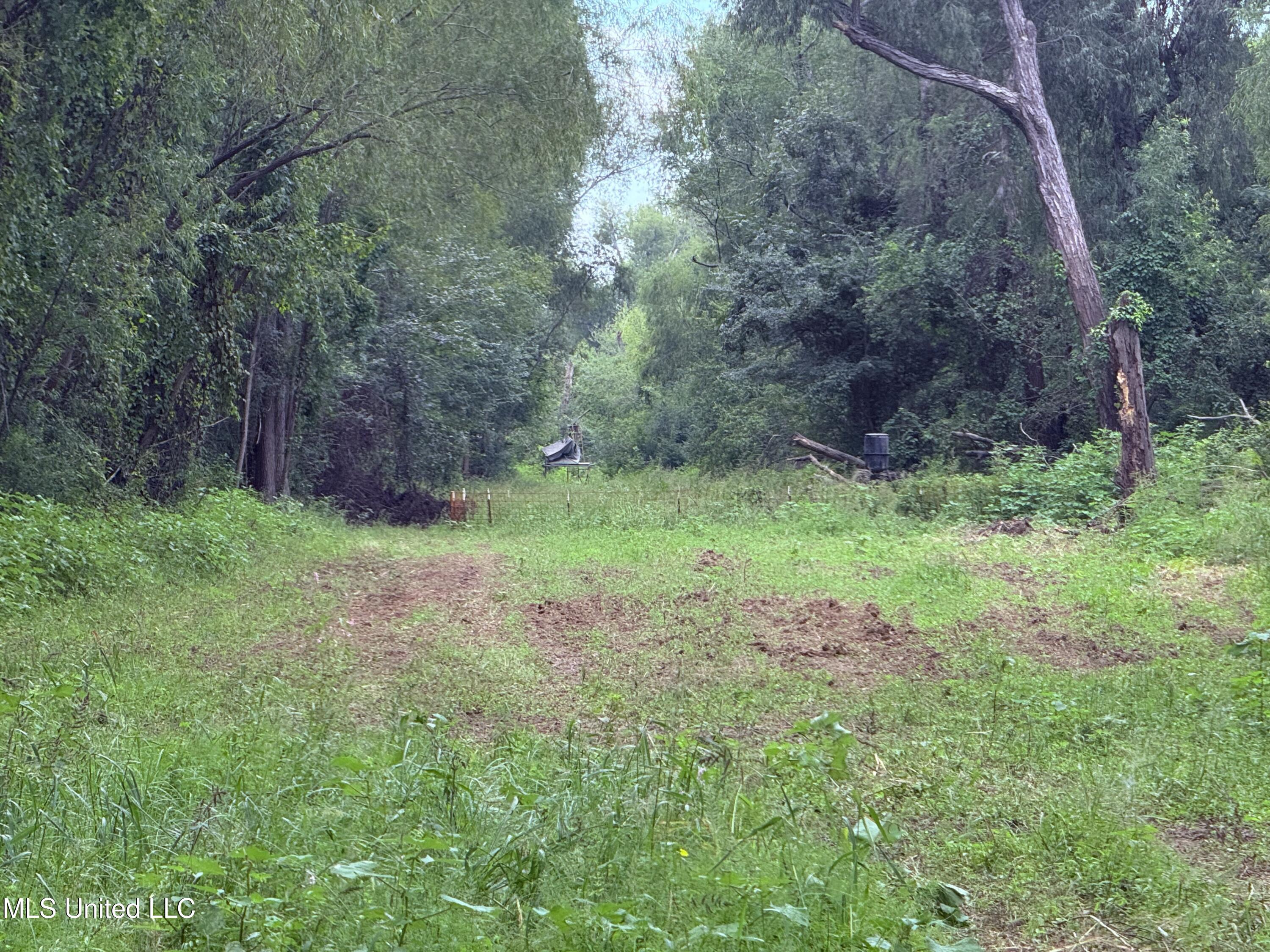 Bourke Road Natchez, MS 39120 - Photo 4 of 23 4.