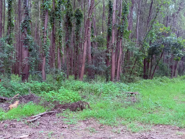 $400,000 | Bourke Road, Natchez, MS 39120