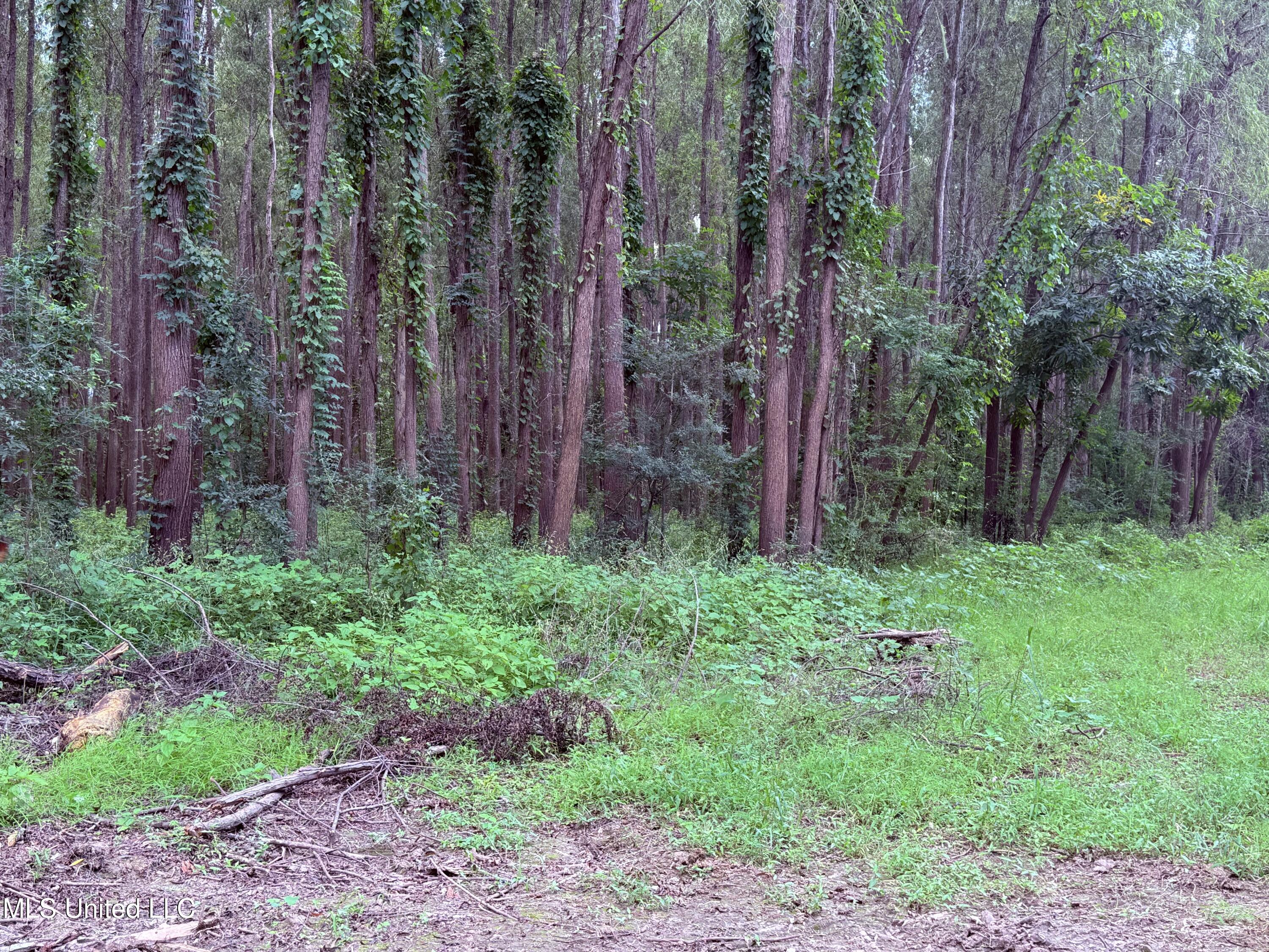 Bourke Road Natchez, MS 39120 - Photo 5 of 23 5.