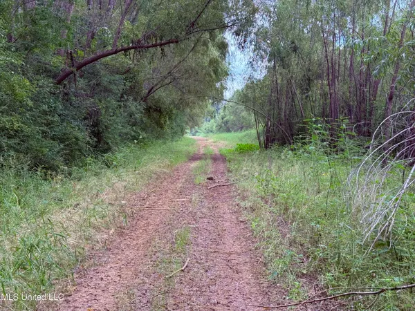 $400,000 | Bourke Road, Natchez, MS 39120