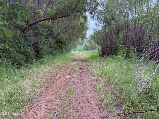 $400,000 | Bourke Road, Natchez, MS 39120