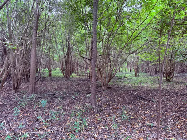 $400,000 | Bourke Road, Natchez, MS 39120