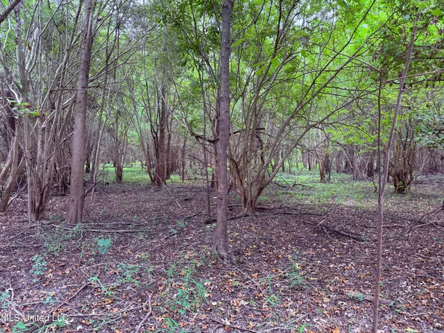 $400,000 | Bourke Road, Natchez, MS 39120