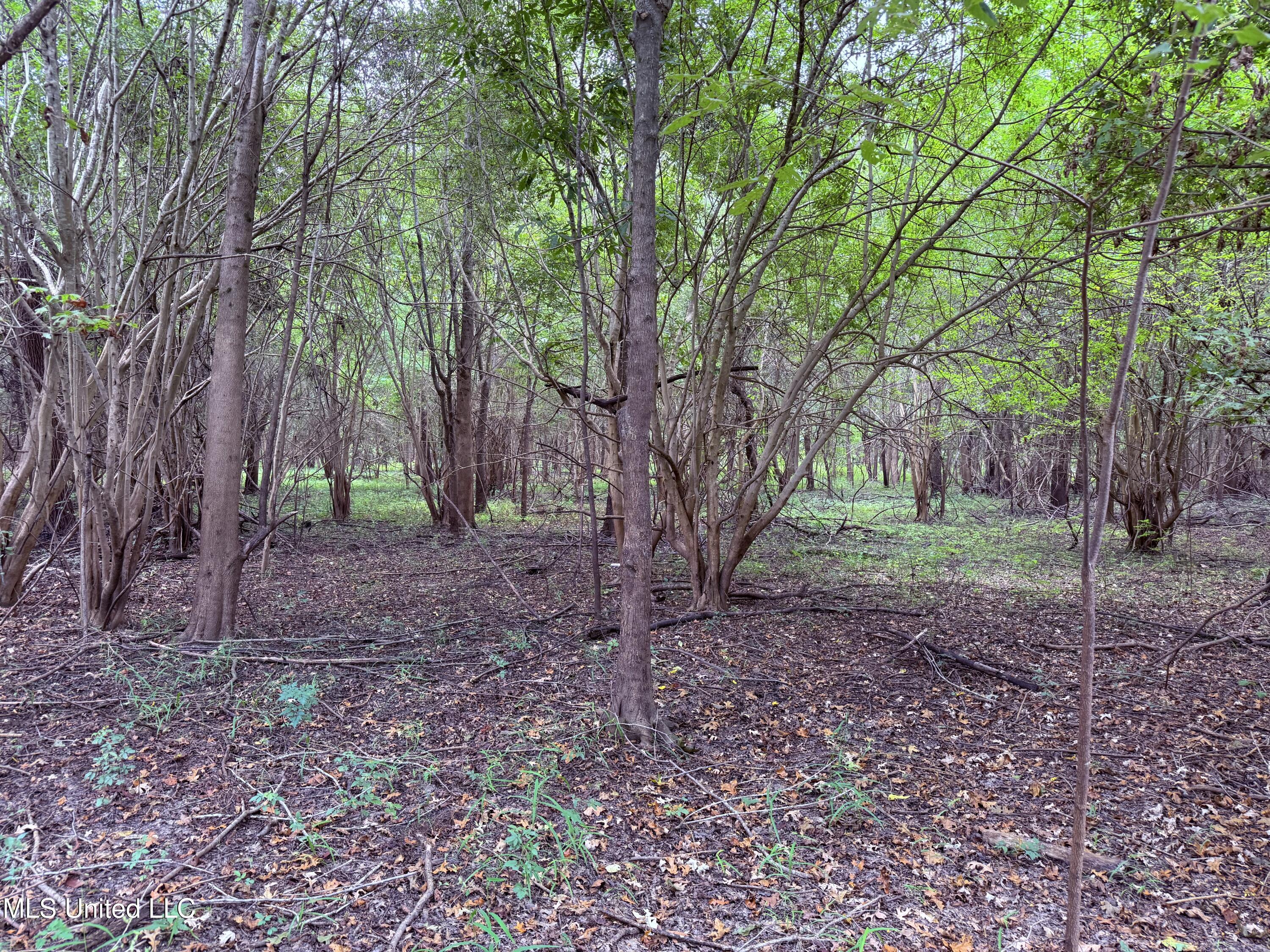 Bourke Road Natchez, MS 39120 - Photo 7 of 23 7.
