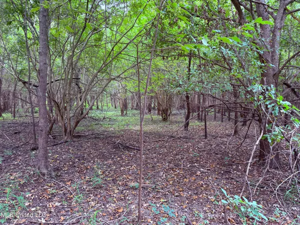 $400,000 | Bourke Road, Natchez, MS 39120