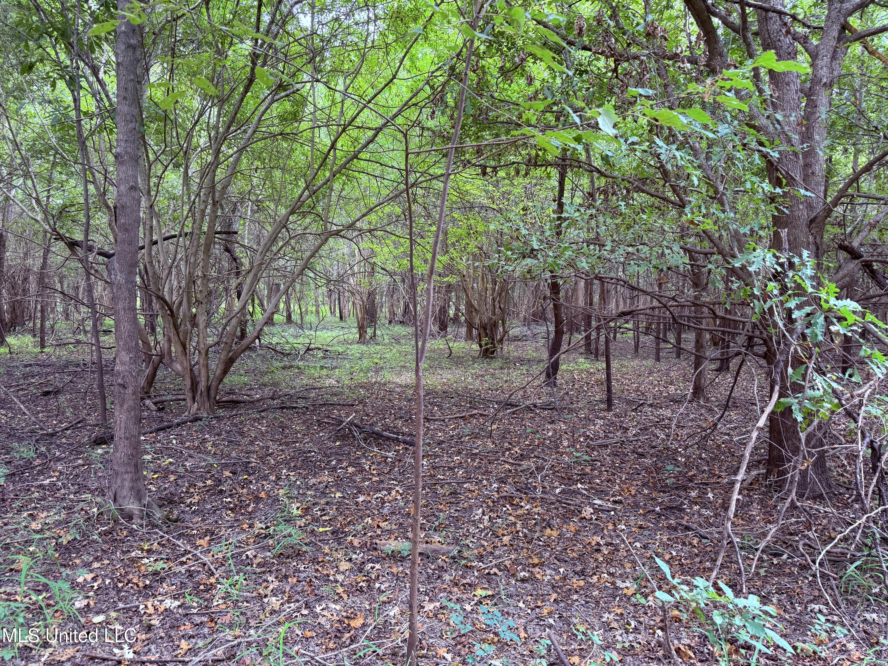 Bourke Road Natchez, MS 39120 - Photo 8 of 23 8.