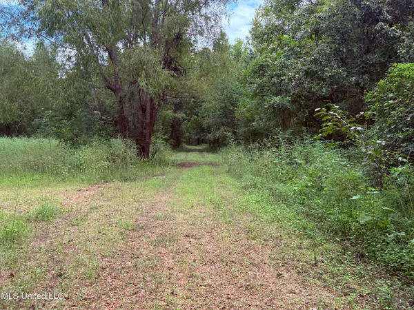 $400,000 | Bourke Road, Natchez, MS 39120