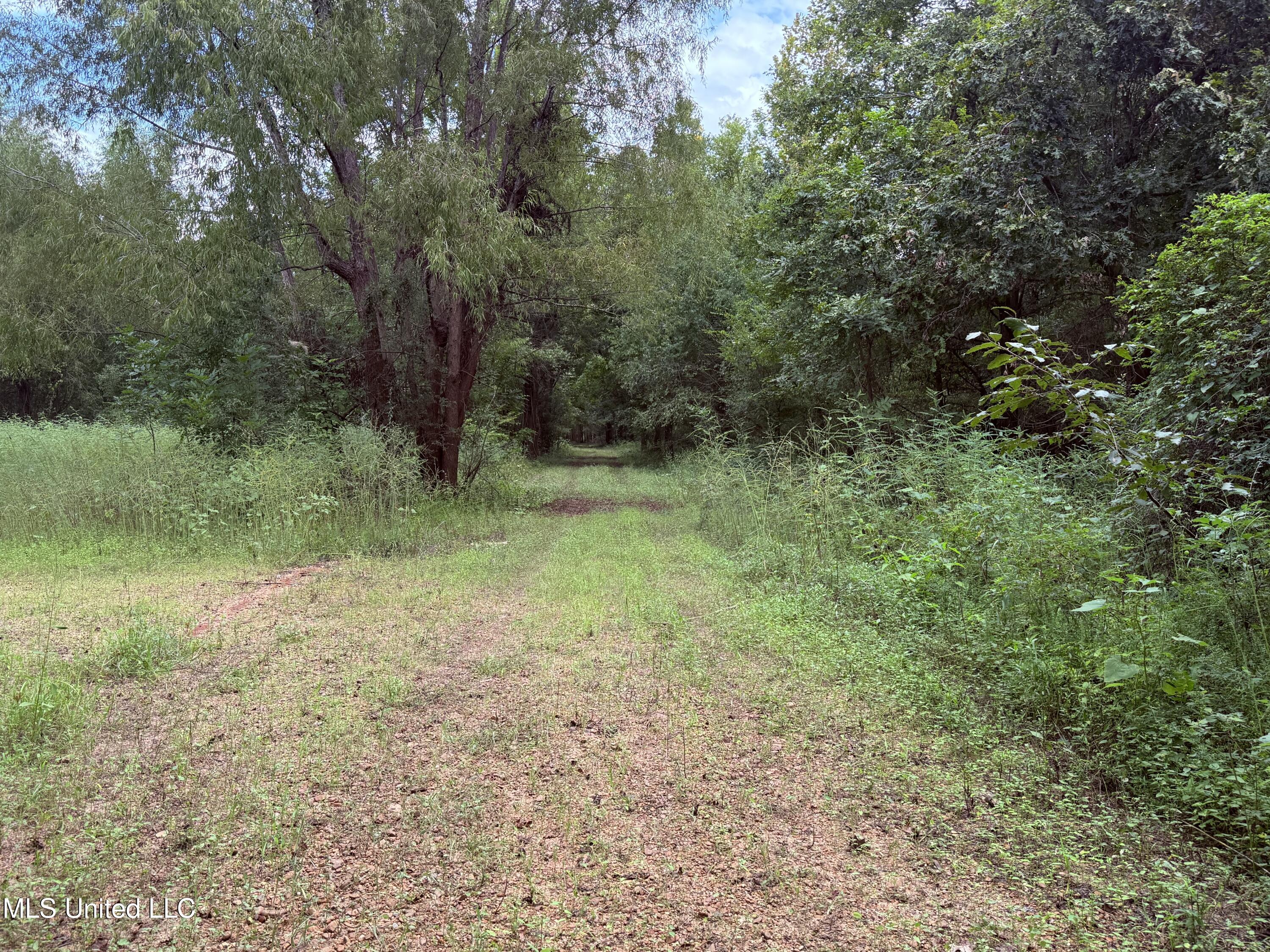 Bourke Road Natchez, MS 39120 - Photo 9 of 23 9.