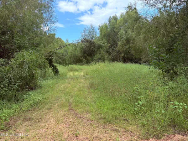 $400,000 | Bourke Road, Natchez, MS 39120