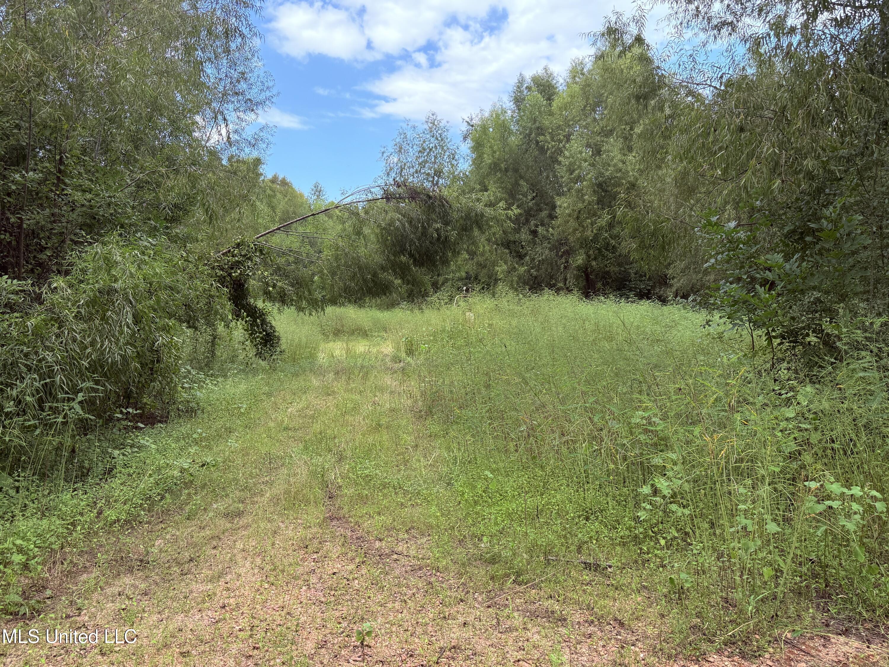 Bourke Road Natchez, MS 39120 - Photo 10 of 23 10.