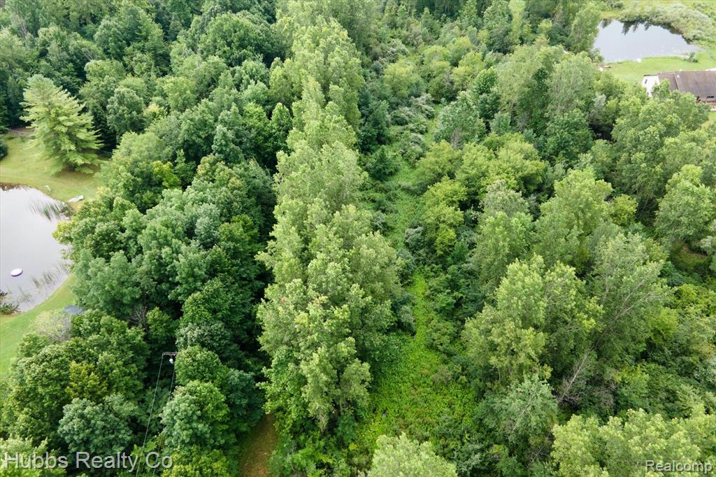 0 Birch Run Road Millington, MI 48746 - Photo 14 of 14