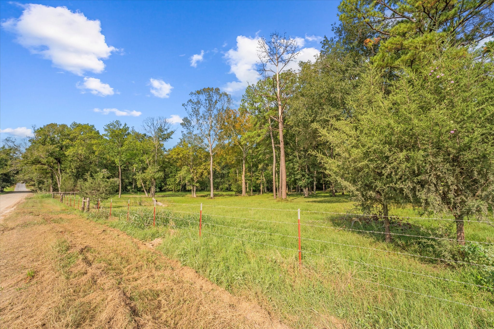 43 Stewart Road New Waverly, TX 77358 - Photo 9 of 21 8 acre parcel is fully fenced.