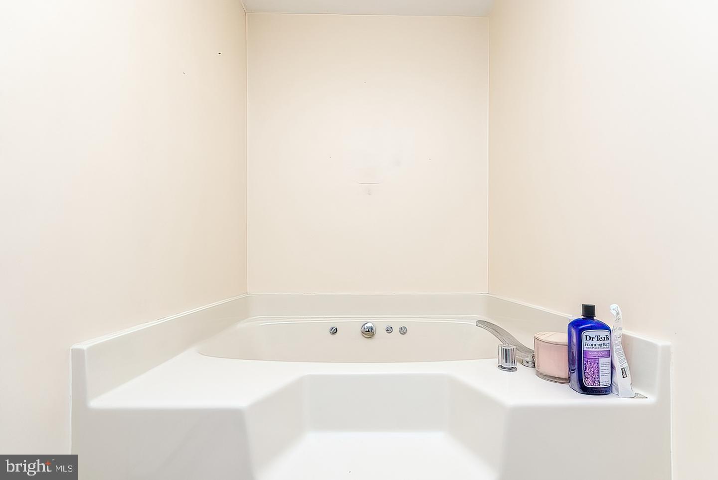 1371 Grade Road Falling Waters, WV 25419 - Photo 39 of 74 Jacuzzi Tub in Primary Bath