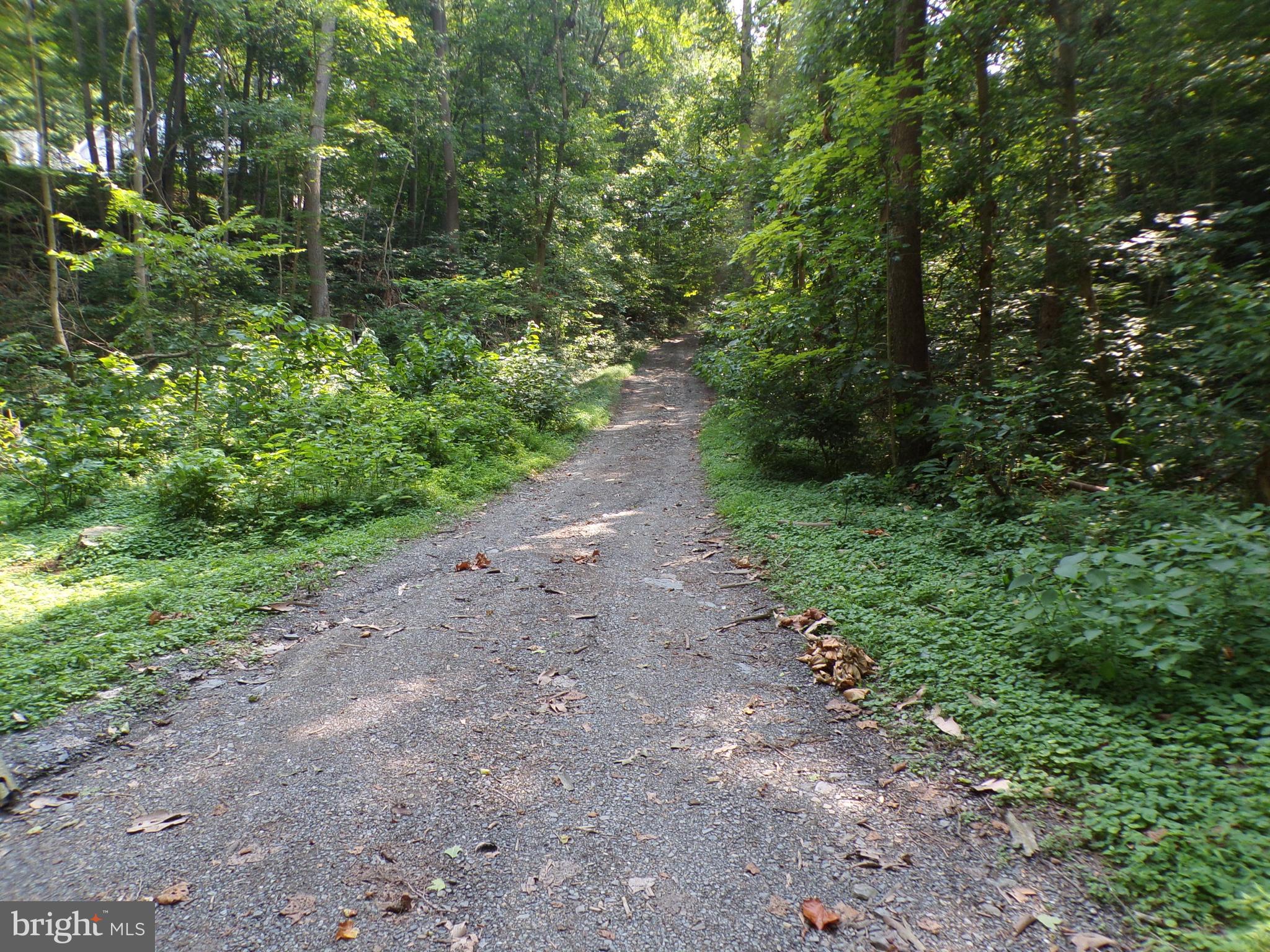 1371 Grade Road Falling Waters, WV 25419 - Photo 70 of 74 Best to use truck for access