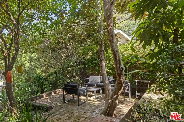 a view of a yard with plants