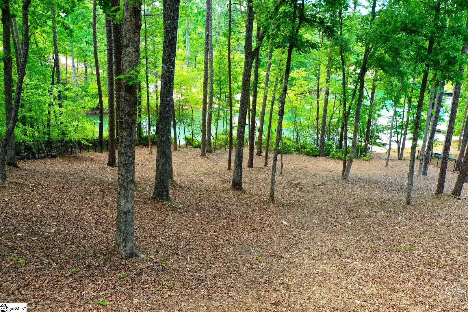 114 Cool Rdg Drive Seneca, SC 29672 - Photo 10 of 46 Gallery Image 10