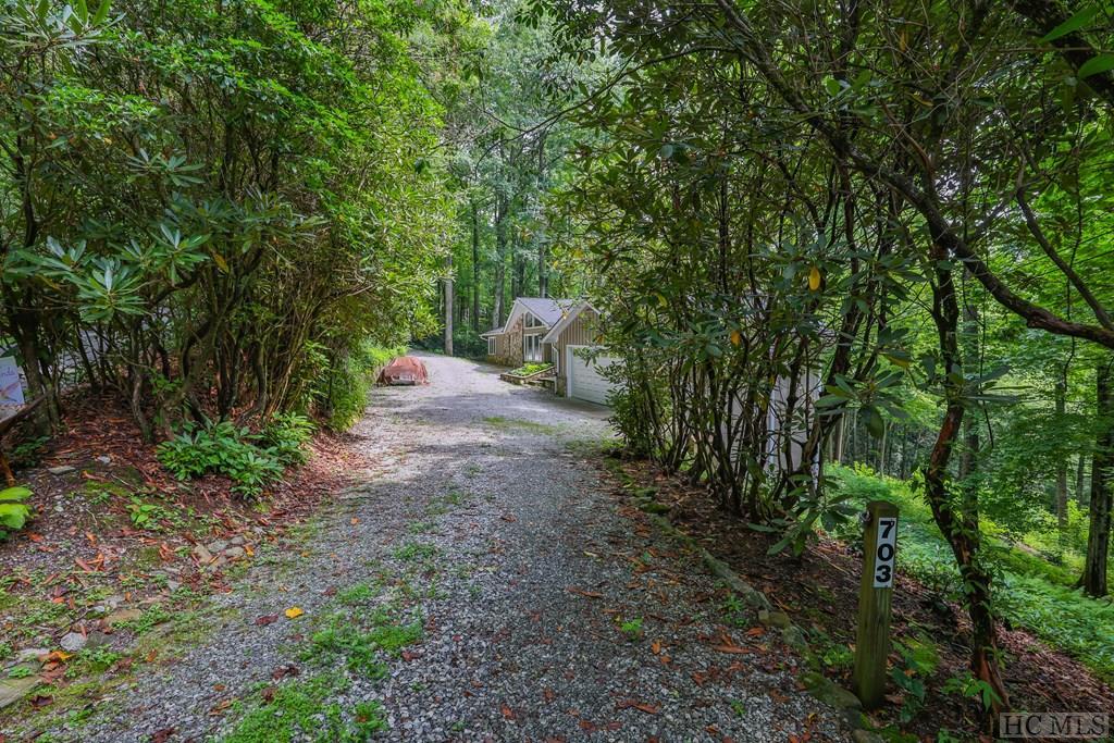 703 Dog Mountain Road Highlands, NC 28741 - Photo 48 of 51 Gallery Image 48