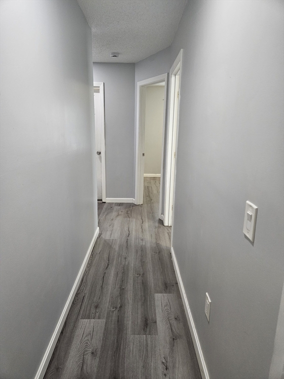 59-61 Pinevale Street Springfield, MA 01151 - Photo 33 of 37 Gallery Image 33