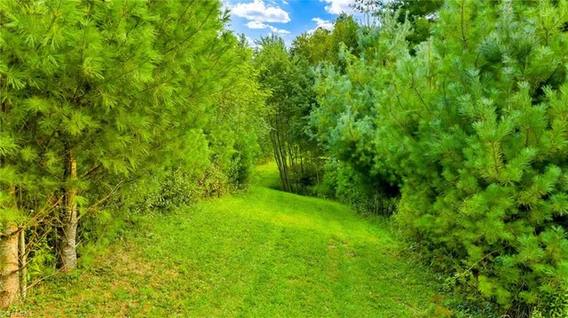 $649,900 | 221 South Fleetwood Nc 28626 South, Fleetwood, NC 28626