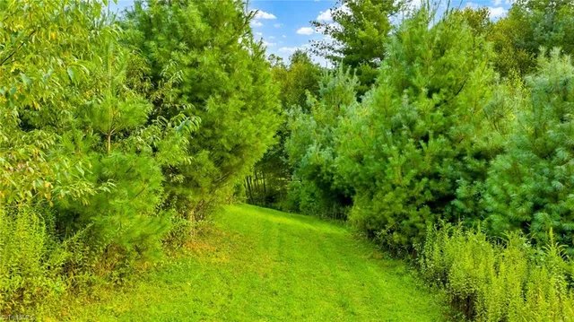 $649,900 | 221 South Fleetwood Nc 28626 South, Fleetwood, NC 28626