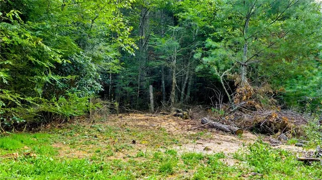 $649,900 | 221 South Fleetwood Nc 28626 South, Fleetwood, NC 28626