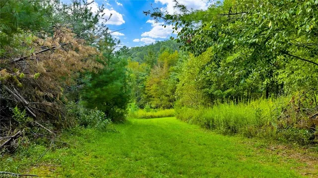 $649,900 | 221 South Fleetwood Nc 28626 South, Fleetwood, NC 28626