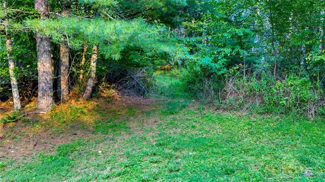 $649,900 | 221 South Fleetwood Nc 28626 South, Fleetwood, NC 28626