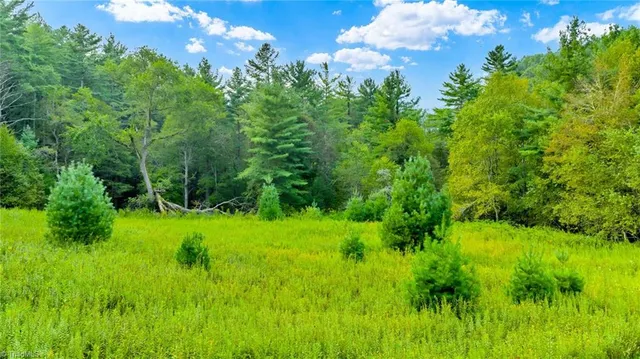 $649,900 | 221 South Fleetwood Nc 28626 South, Fleetwood, NC 28626