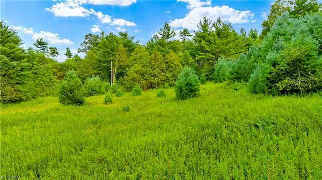 $649,900 | 221 South Fleetwood Nc 28626 South, Fleetwood, NC 28626