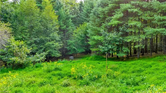 $649,900 | 221 South Fleetwood Nc 28626 South, Fleetwood, NC 28626