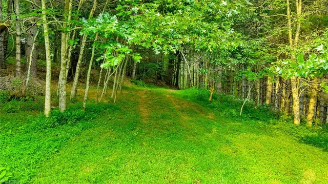 $649,900 | 221 South Fleetwood Nc 28626 South, Fleetwood, NC 28626