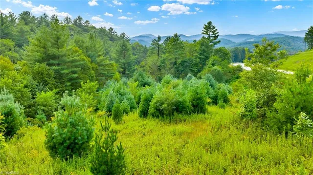 $649,900 | 221 South Fleetwood Nc 28626 South, Fleetwood, NC 28626