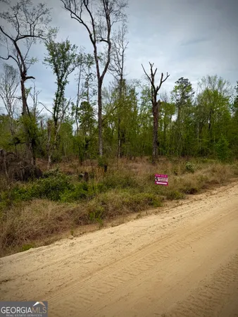 $49,900 | 1310 Outlaw Grove Way, Soperton, GA 30457