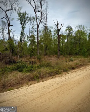 $49,900 | 1310 Outlaw Grove Way, Soperton, GA 30457