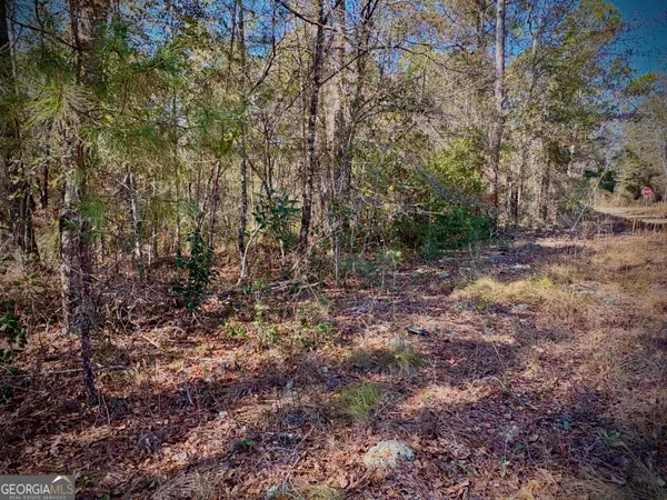 $49,900 | 1310 Outlaw Grove Way, Soperton, GA 30457