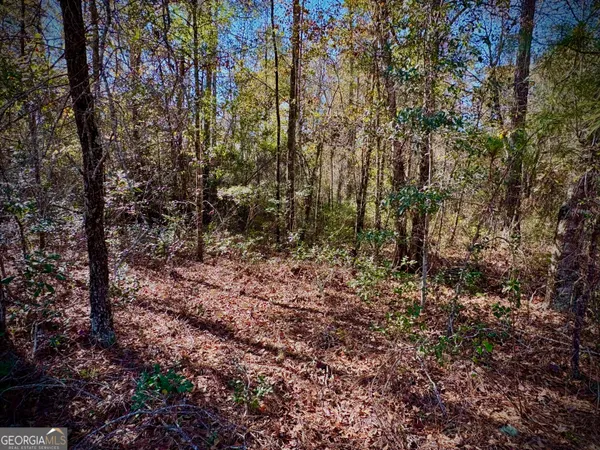 $49,900 | 1310 Outlaw Grove Way, Soperton, GA 30457