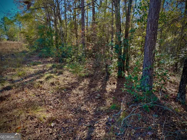 $49,900 | 1310 Outlaw Grove Way, Soperton, GA 30457