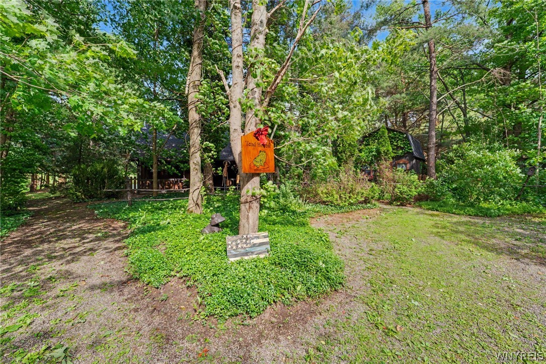 10985 Griswold Road Darien, NY 14040 - Photo 41 of 50