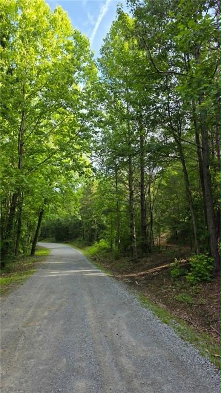 0 Lucas Road Dallas, GA 30132 - Photo 13 of 15
